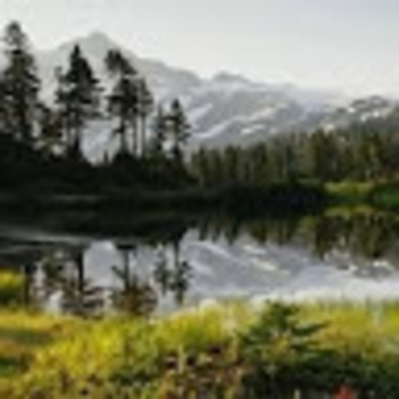 Meet your Posher, Megan - Picture 1 of 1